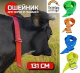 Ошейник для КРС на кольцевой пряжке