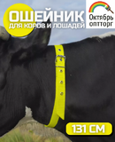 Ошейник для КРС на ременной пряжке